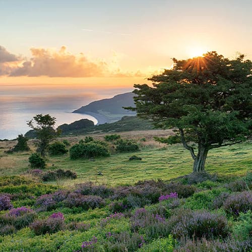 Unlock the Charm of Somerset- A Guide to the Best Places to Visit and Stay on Your Holiday